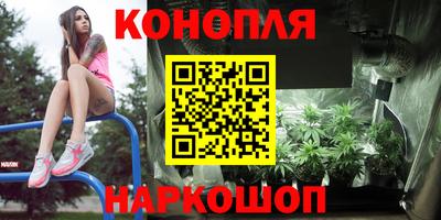 Альфа ПВП Пыть-Ях