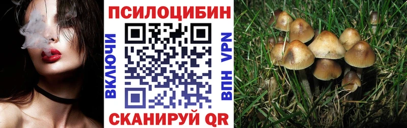 ОМГ ОМГ зеркало  Чита  Псилоцибиновые грибы Cubensis 