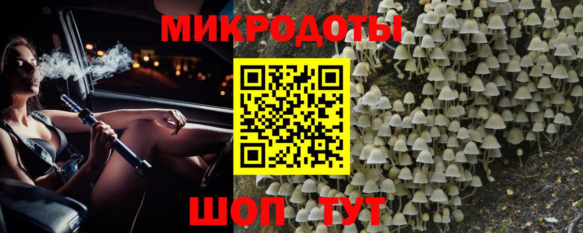 Псилоцибиновые грибы Psilocybe  Вход с VPN  Чита  Псилоцибиновые грибы Cubensis 