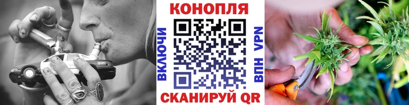 Бошки марихуана сатива купить закладку Чита